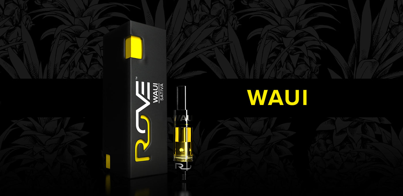 Discover Rove's Premium THC Cartridges: Skywalker OG & More Discover Rove's Premium THC Cartridges: Skywalker OG & More